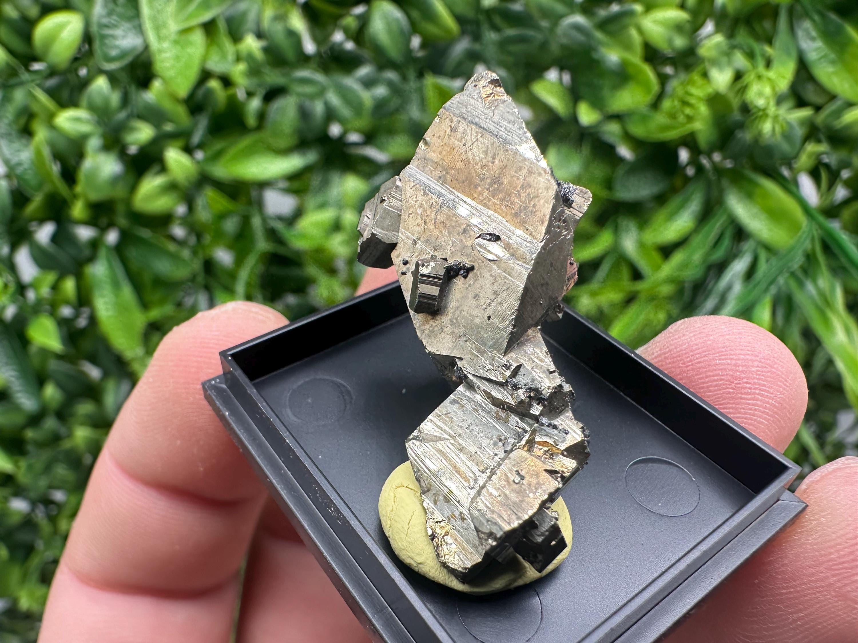 Rare Crystallized Pyrite Cluster - Borieva Mine, Bulgaria