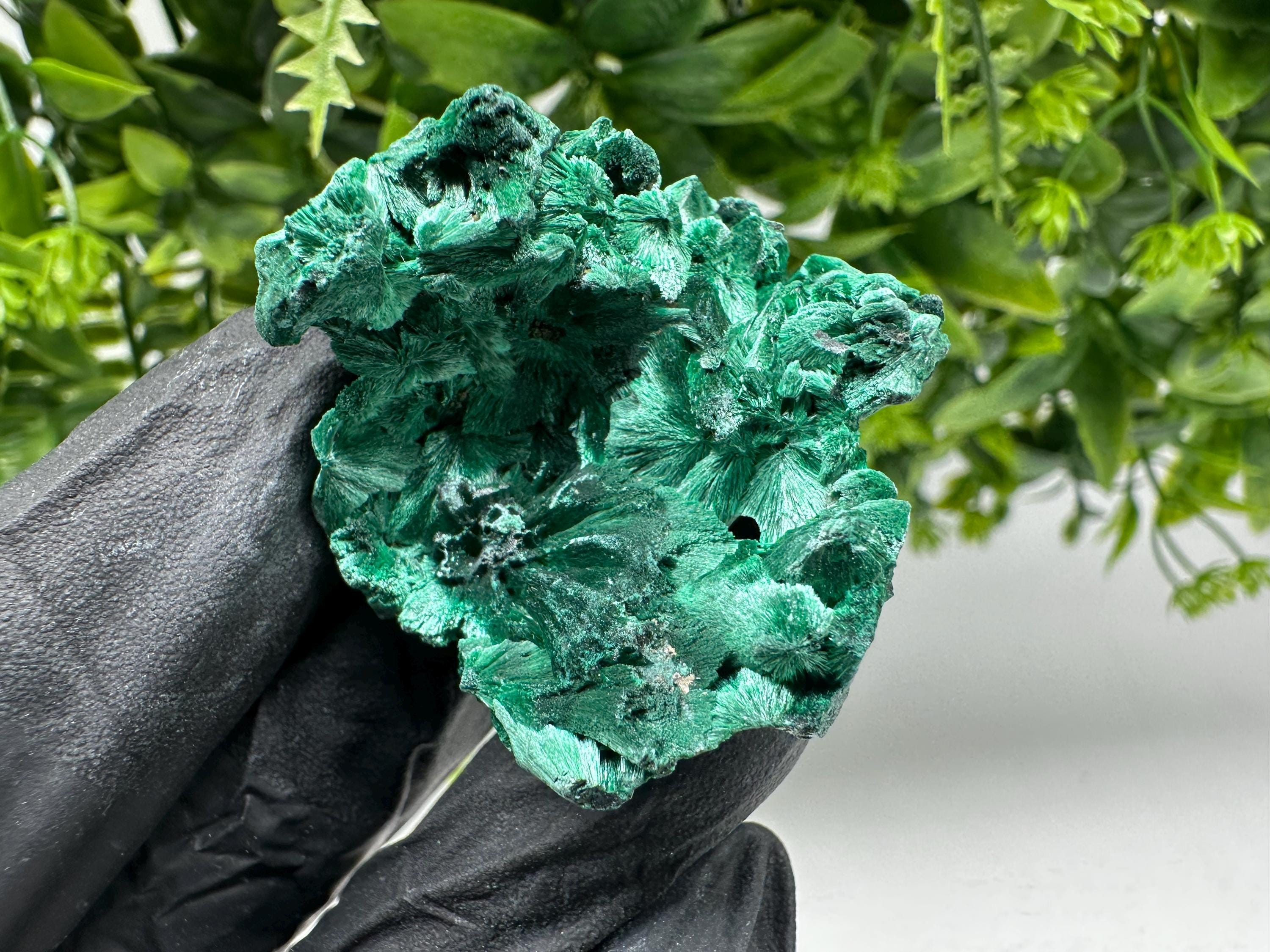 Malachite Crystal from Congo,Minerals,Crystals from Congo,Green Malachite, Malachite,Natural Malachite,Malachite Stone,Chakra, Specimens