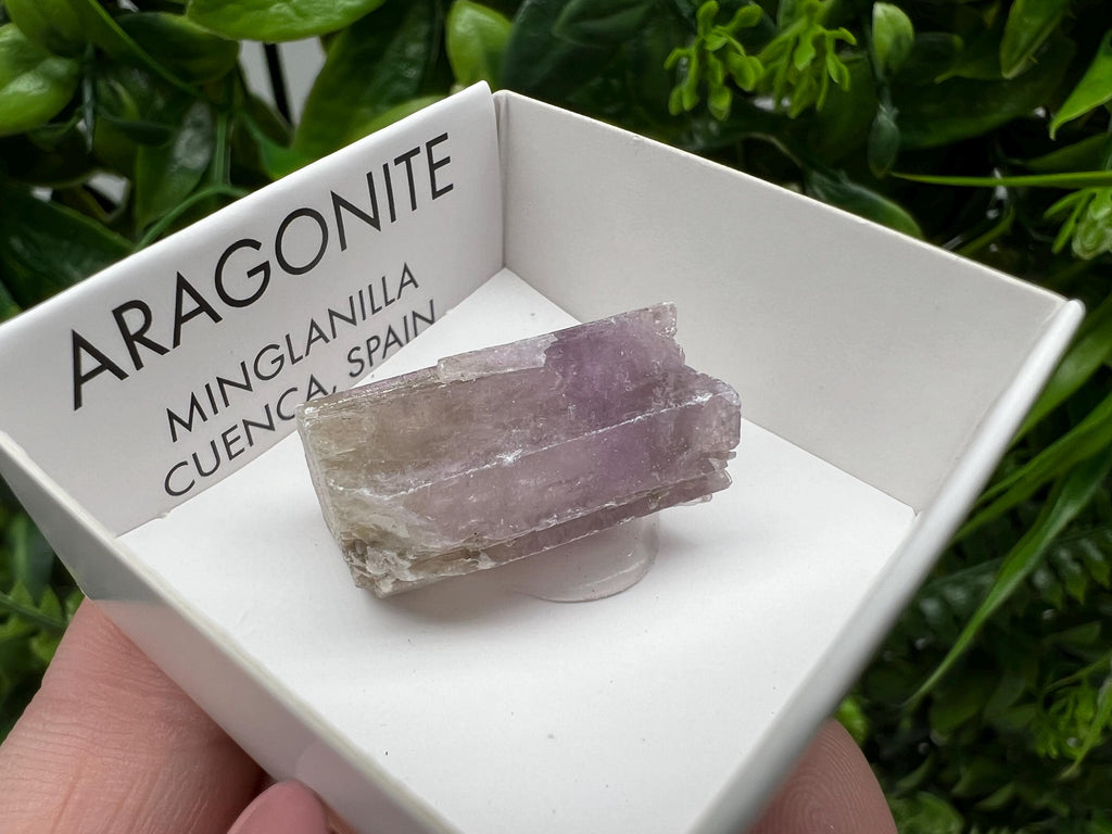 Amazing Aragonite from Spain,Aragonite crystal,cluster,natural,mineral,specimen,Purple Aragonite,Spanish Aragonite,Mineralcollection
