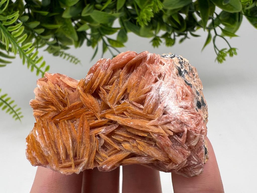 Moroccan Baryte Cluster with Cerussite on Galena