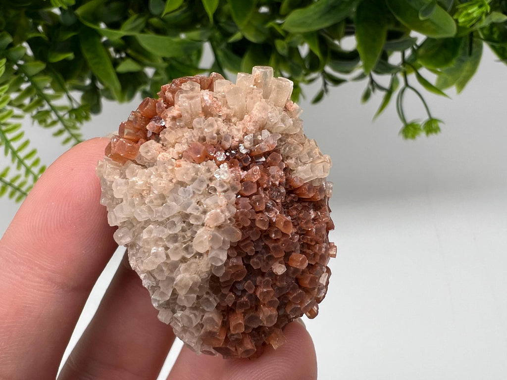 Extra Large Aragonite Sputnik Cluster: Moroccan Raw Crystal Stone