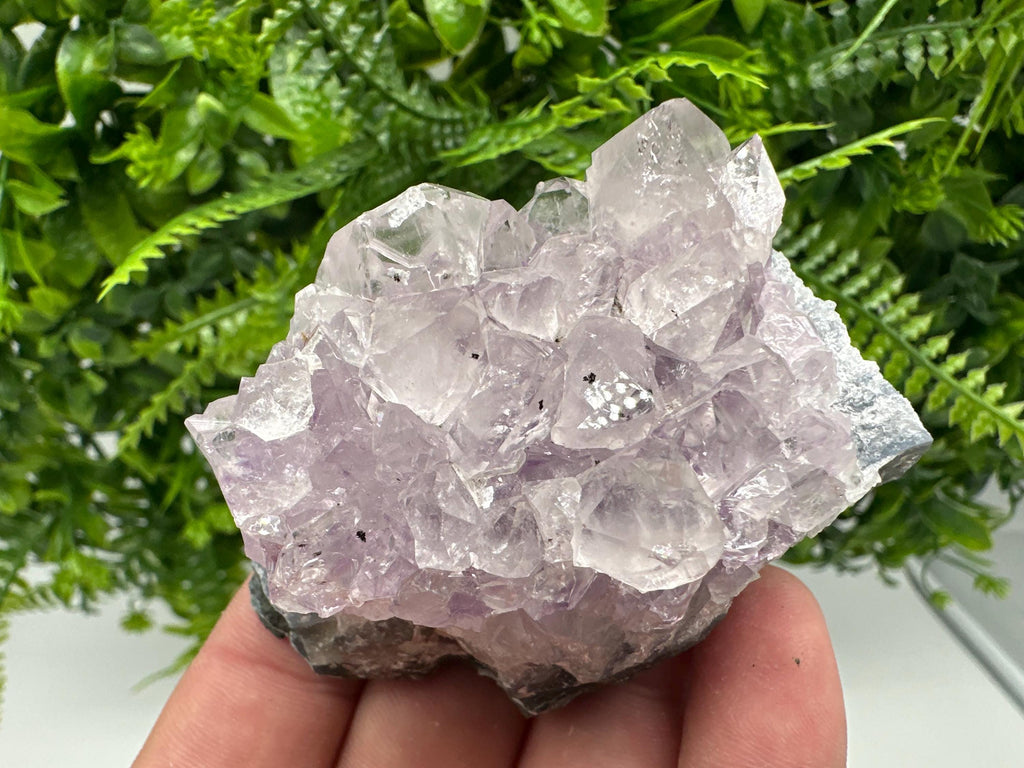 Brazilian Amethyst Cluster, Purple Quartz Crystal Specimen