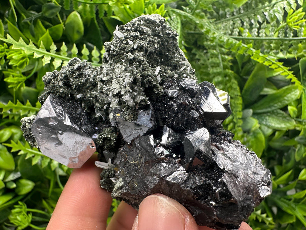 Galena with Black Sphalerite: Natural Minerals Souvenir, Borieva Bulgaria