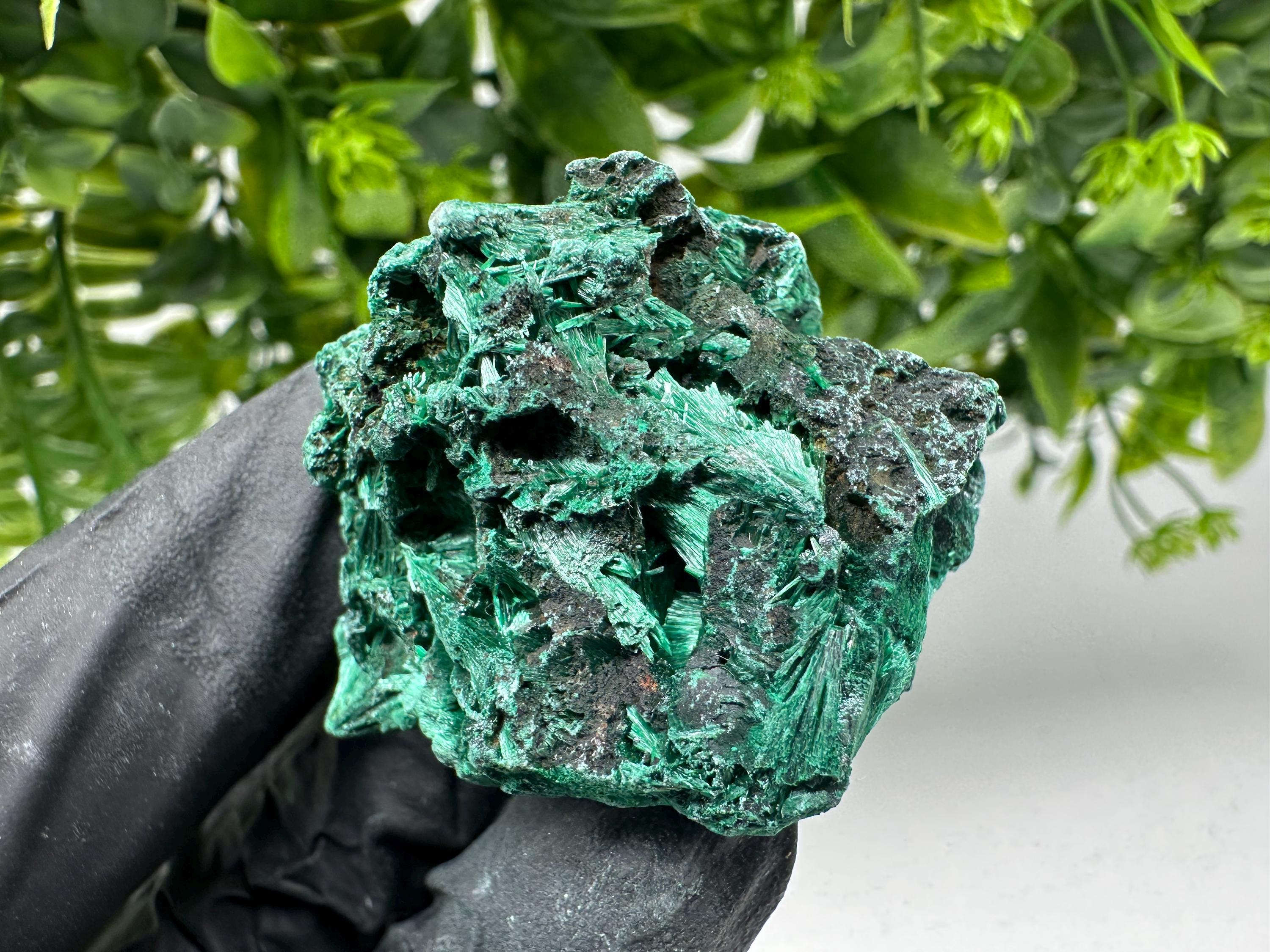 Malachite Crystal from Congo,Minerals,Crystals from Congo,Green Malachite, Malachite,Natural Malachite,Malachite Stone,Chakra, Specimens