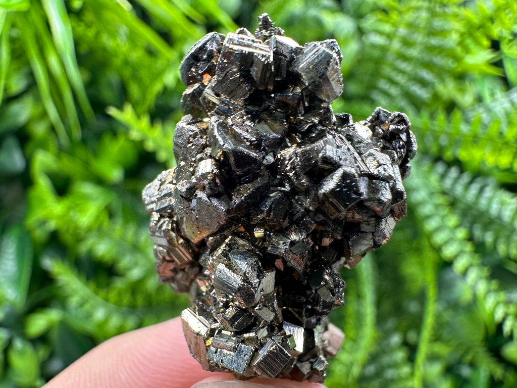 Pyrite Bornite Mineral Specimen: Borieva Mine, Bulgaria