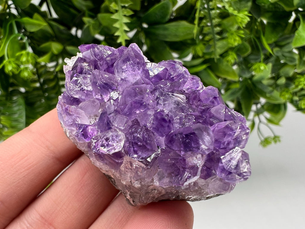 Uruguay Amethyst Crystal: Purple Quartz Phantom - Home Decor