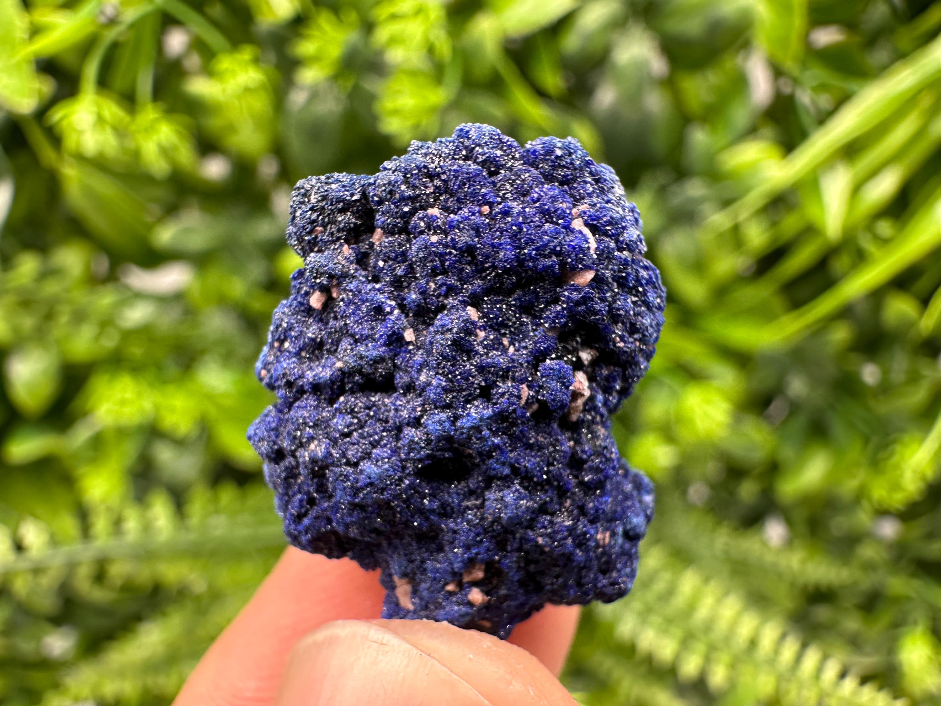 Crystallized Azurite-Kerrouchen,Morocco-Blue Azurite Specimen-High Quality Blue Azurite-Azurite Mineral Specimen, gemmy,lustrous of Azurite