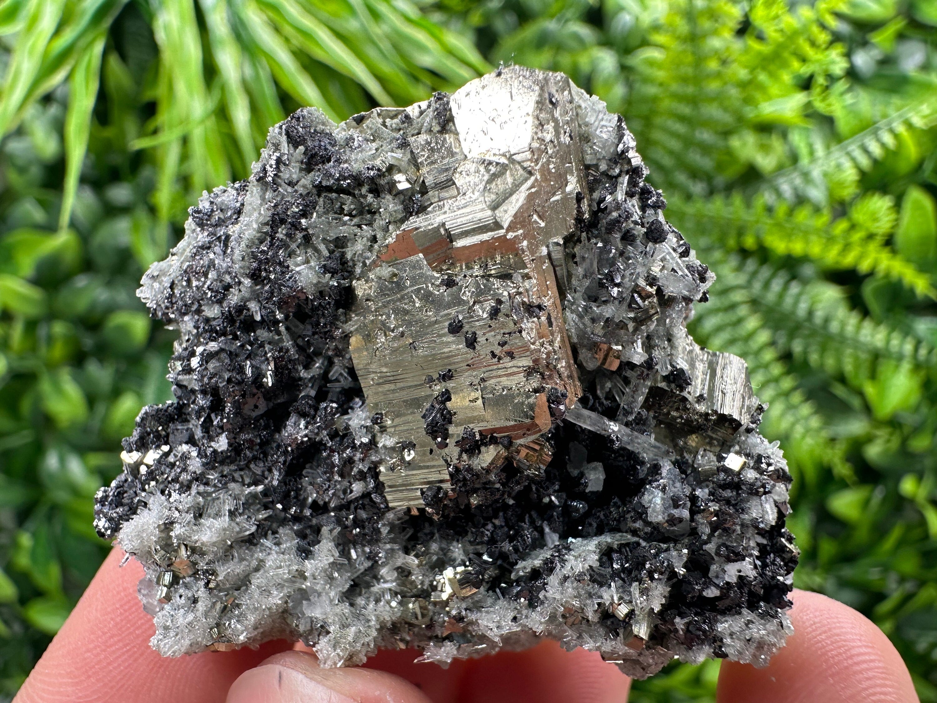 Pyrite on Quartz Needles, Borieva Mine Bulgaria