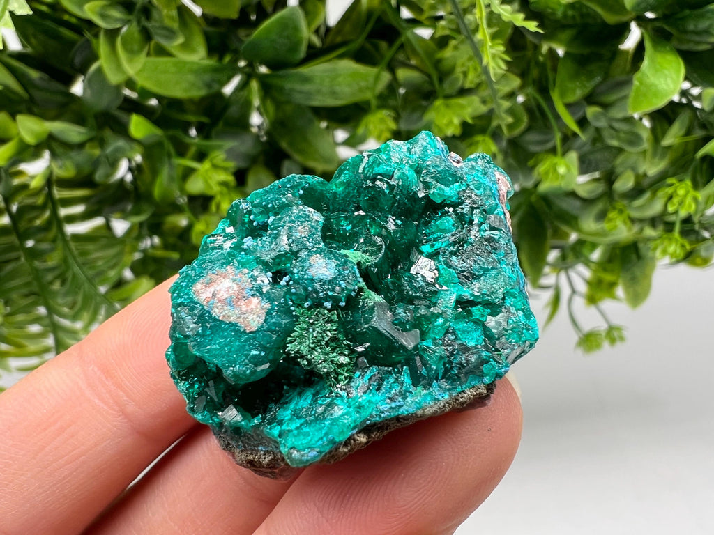 Stunning Green Dioptase from Sanda Hills,Mindouli,Pool Department,Mindouli District,Congo,green Dioptase,Dioptas Crystal,Dioptase collecting