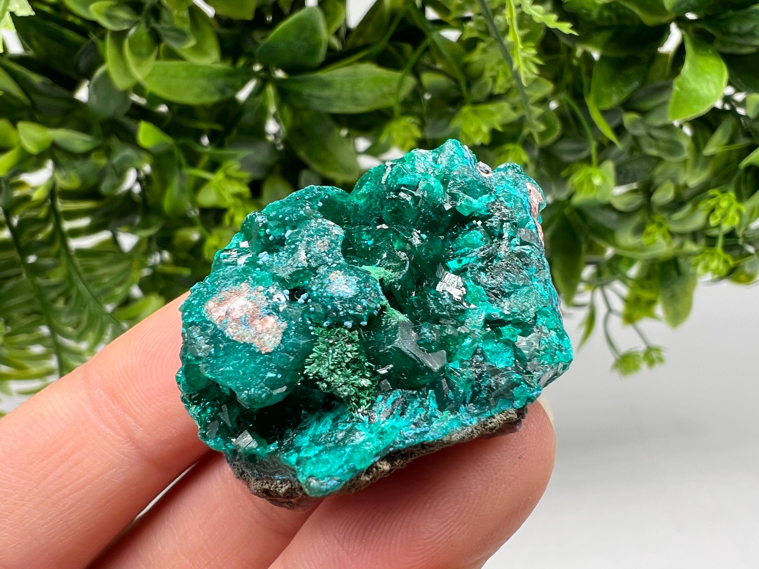 Stunning Green Dioptase from Sanda Hills,Mindouli,Pool Department,Mindouli District,Congo,green Dioptase,Dioptas Crystal,Dioptase collecting