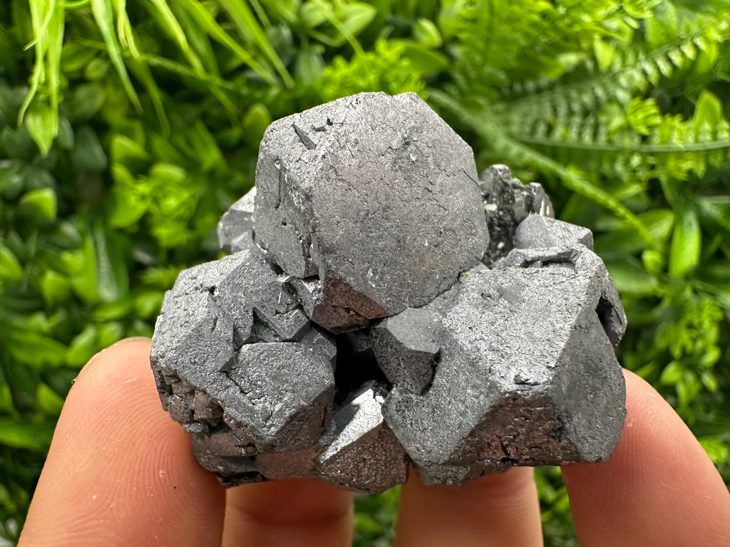 Galena with Sphalerite, Borieva Mine Mineral Specimen