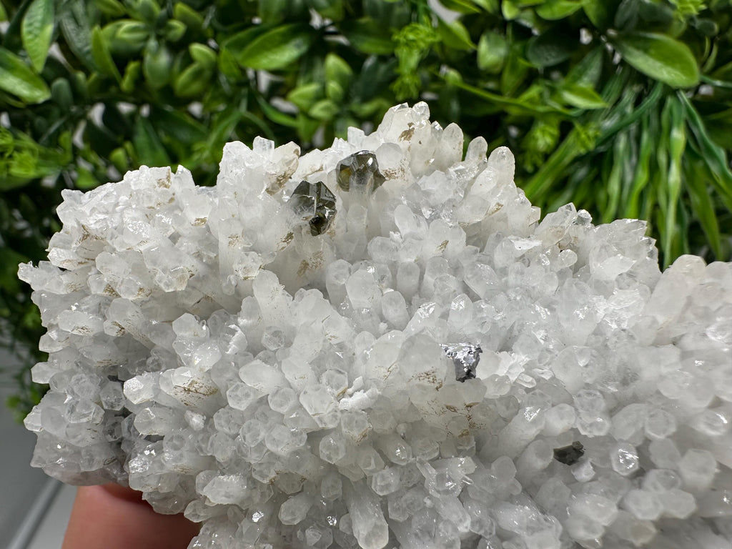 Stunning Gems Sphalerite Cleiopfane on Quartz from Krushev dol mine,Madan,Bulgaria,natural,collectible mineral specimen,home decor stone