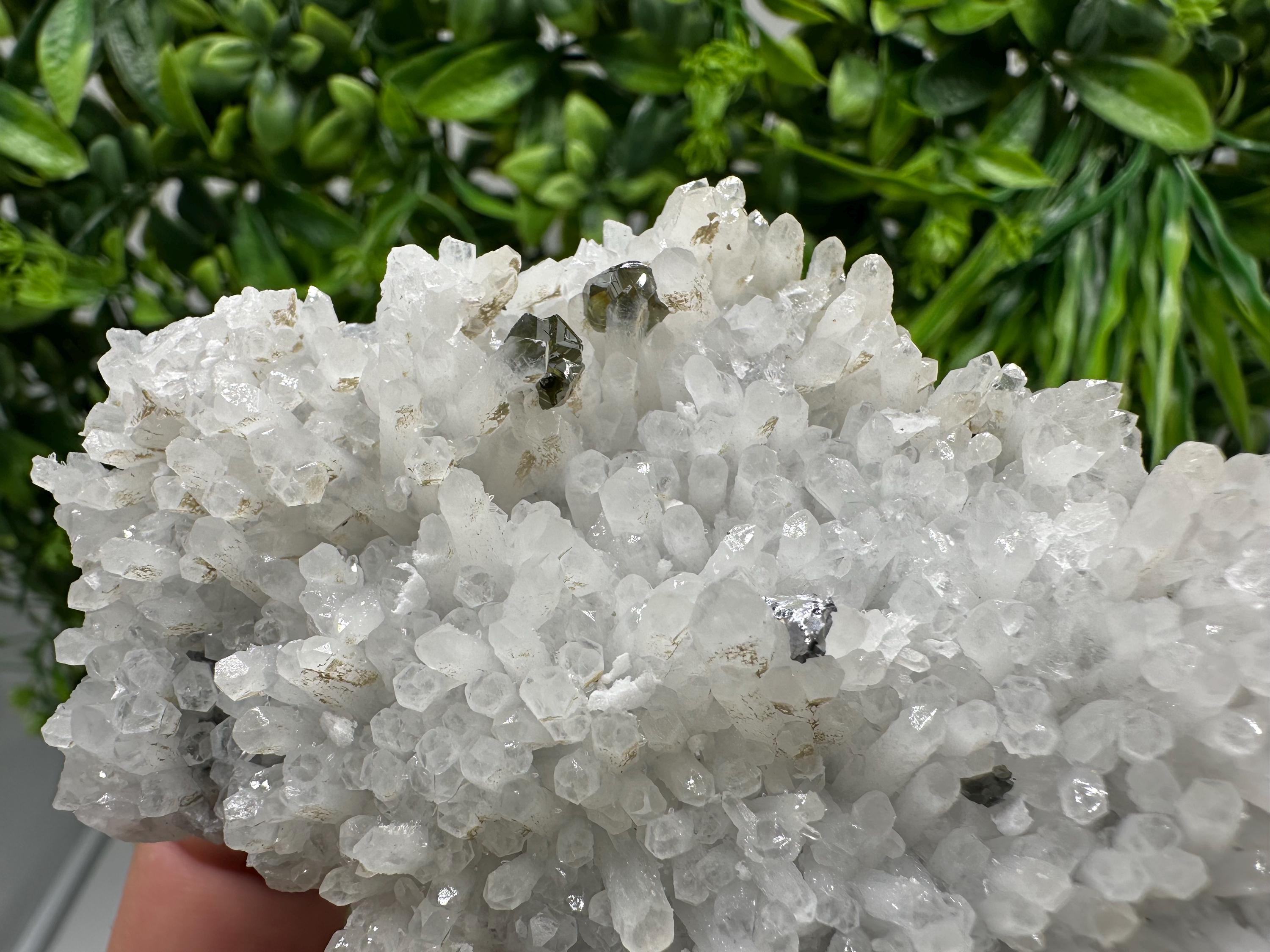 Stunning Gems Sphalerite Cleiopfane on Quartz from Krushev dol mine,Madan,Bulgaria,natural,collectible mineral specimen,home decor stone