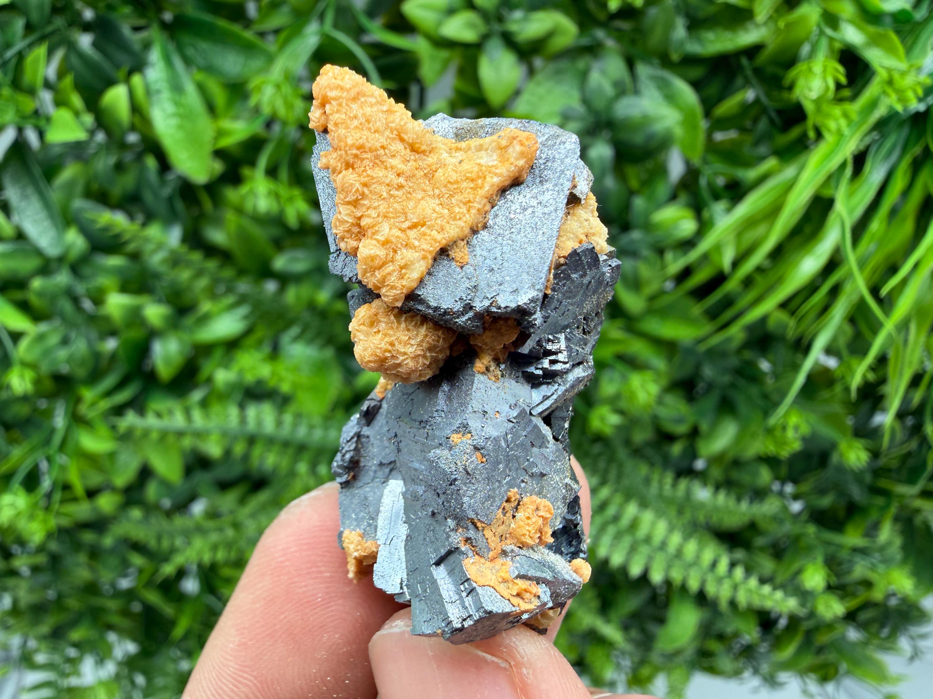 Skeletal Galena with Dolomite: Krushev Dol Mine, Bulgaria
