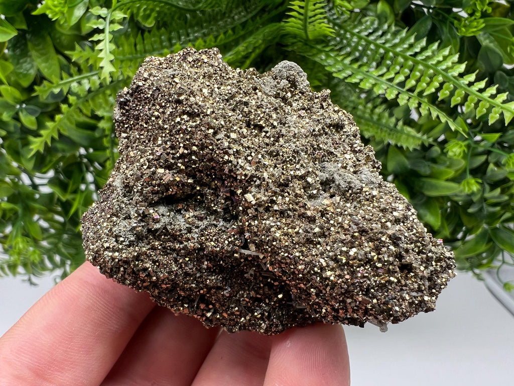 Pyrite on Green Quartz Specimen, Borieva Bulgaria Mineral Decor