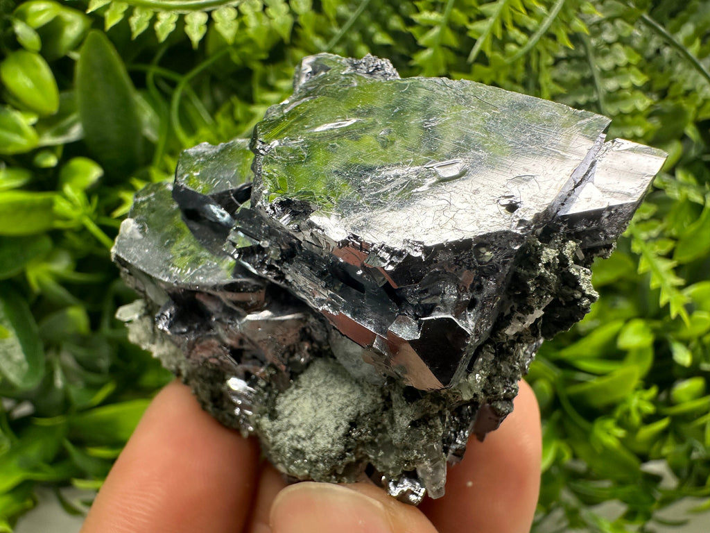 Mirror Galena on Quartz with Chlorite, Borieva Mine, Bulgaria