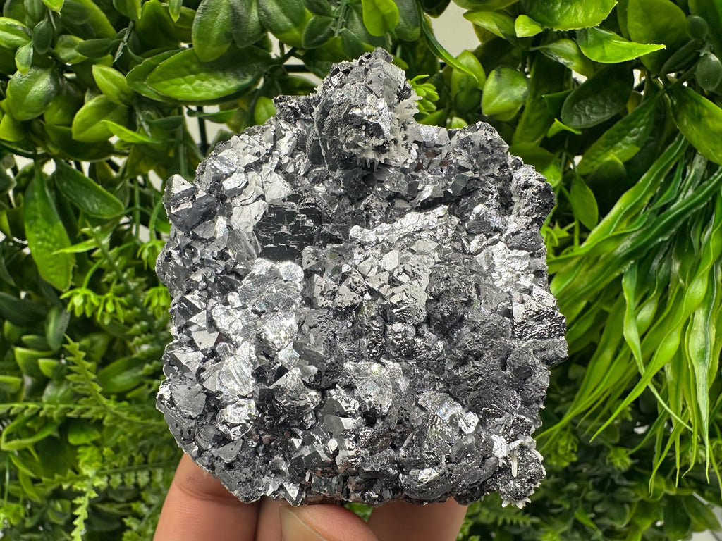 Galena with Quartz Mineral Specimen, Krushev dol Mine, Bulgaria