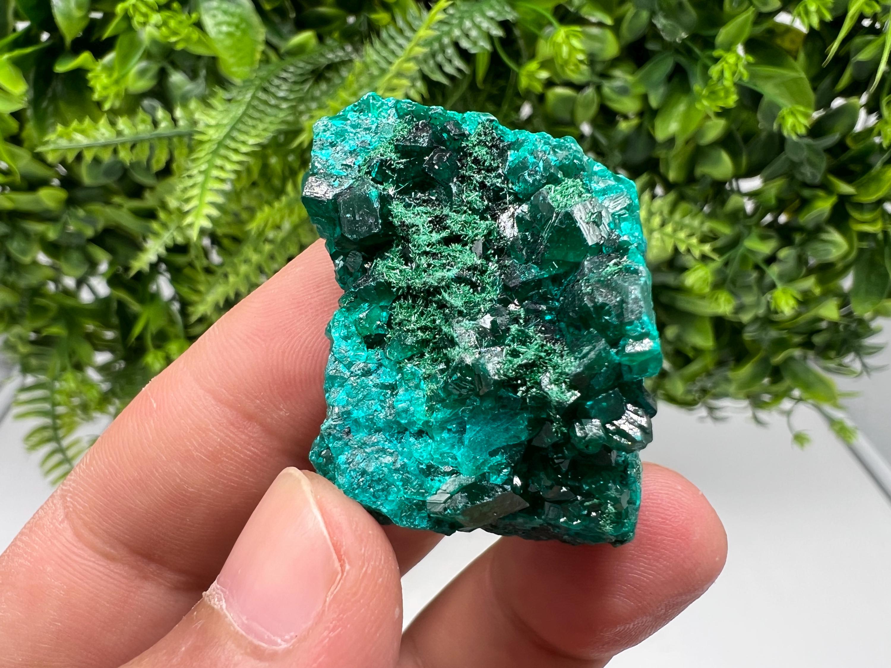 Stunning Green Dioptase from Sanda Hills,Mindouli,Pool Department,Mindouli District,Congo,green Dioptase,Dioptas Crystal,Dioptase collecting