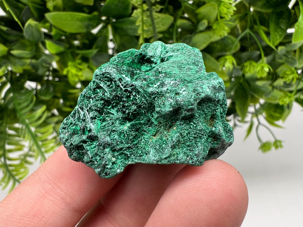Malachite Crystal from Congo,Minerals,Crystals from Congo,Green Malachite, Malachite,Natural Malachite,Malachite Stone,Chakra, Specimens