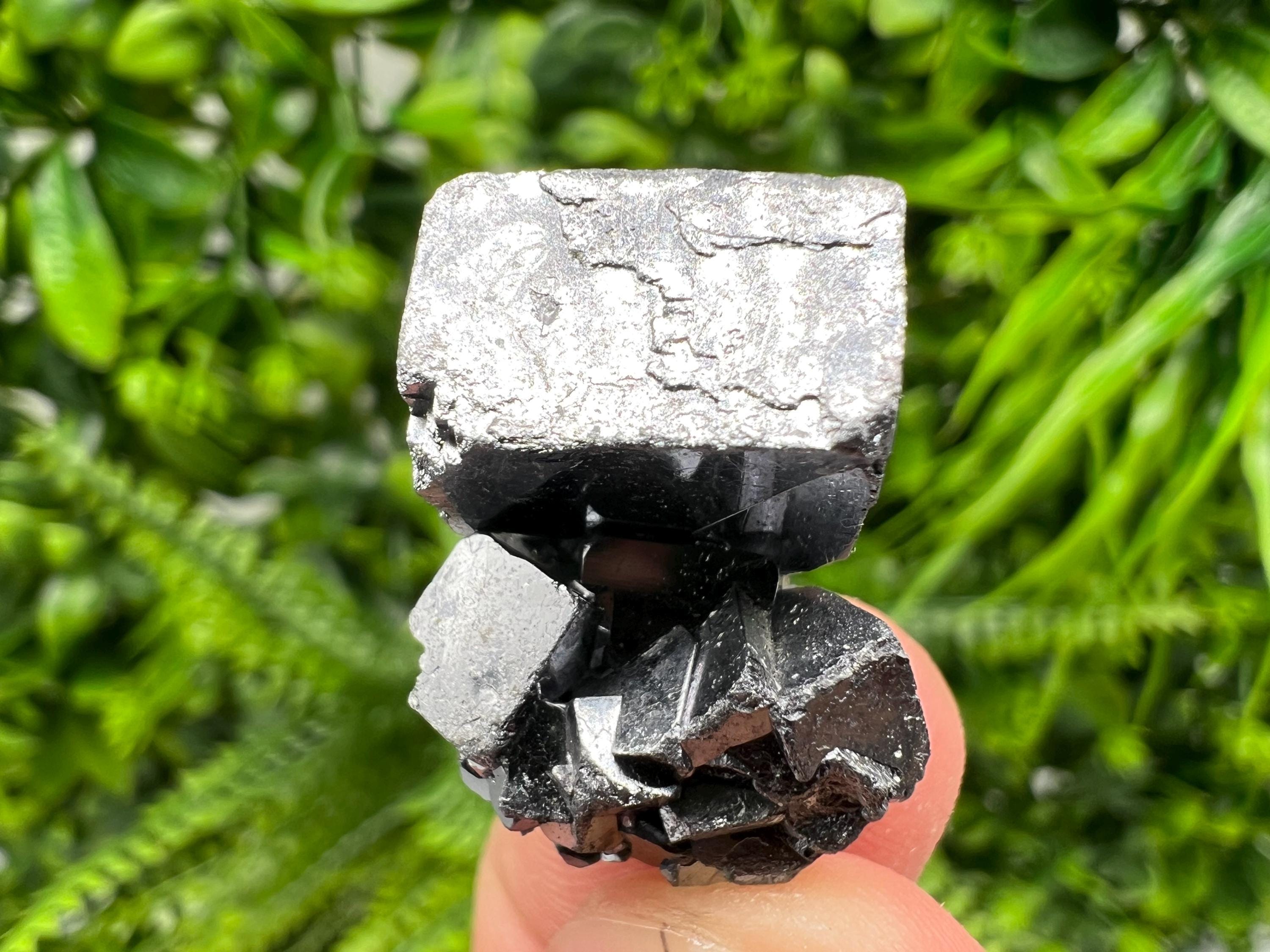 Shiny Galena Cluster: Borieva Mine, Madan Bulgaria