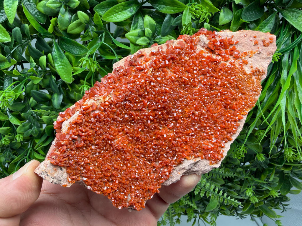 Red Vanadinite on Matrix from Marocco,crystal minerals Speciment cluster Vanadinite crystal Vanadinite Geology Vanadinite cluster minerals