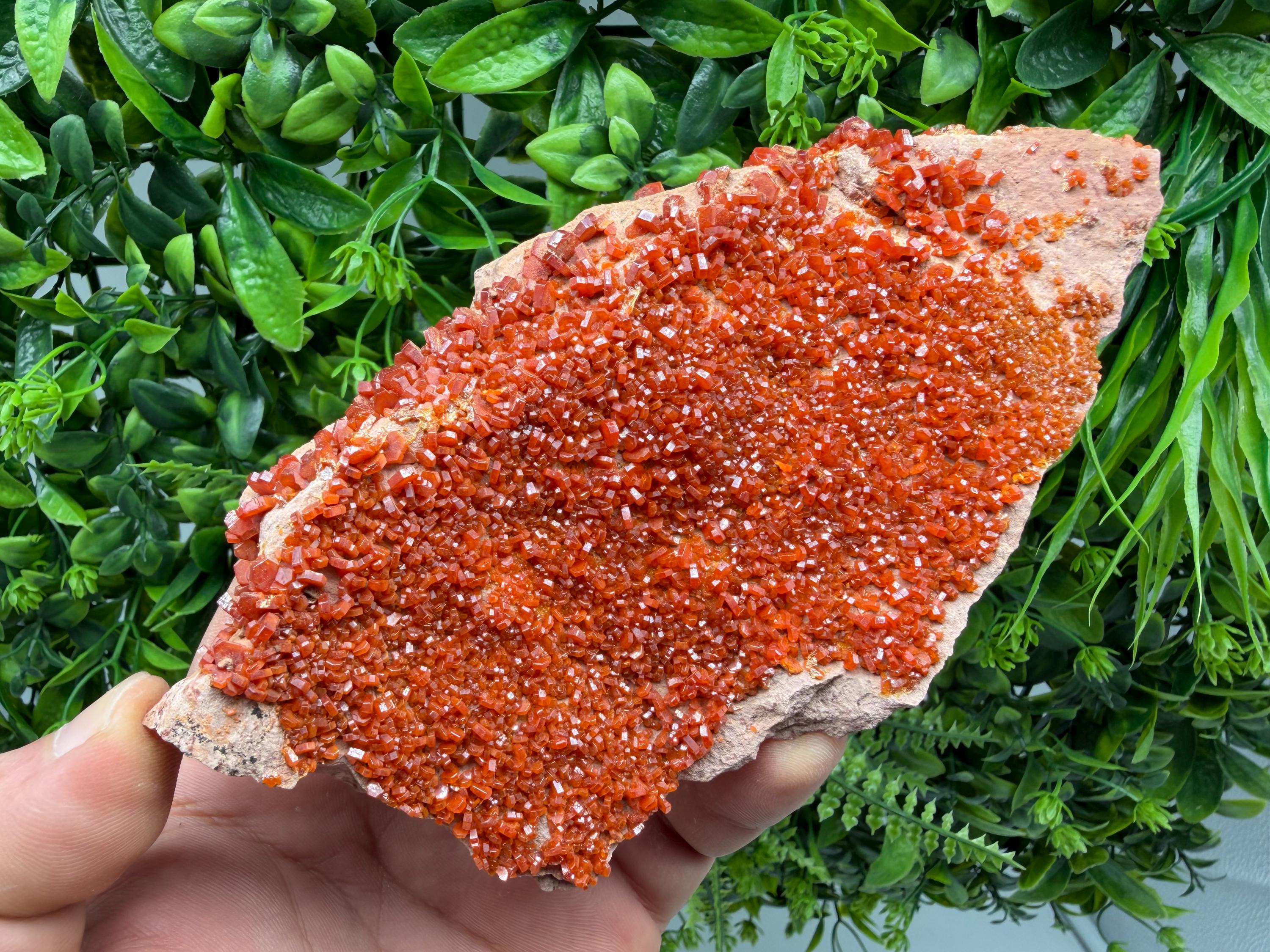 Red Vanadinite on Matrix from Marocco,crystal minerals Speciment cluster Vanadinite crystal Vanadinite Geology Vanadinite cluster minerals