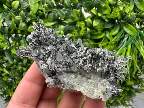 Chlorite Quartz Crystal Cluster - Borieva Mine, Bulgaria