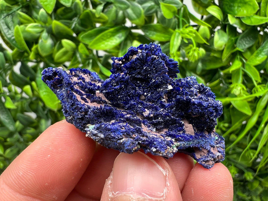 Crystallized Azurite-Kerrouchen,Morocco-Blue Azurite Specimen-High Quality Blue Azurite-Azurite Mineral Specimen, gemmy,lustrous of Azurite