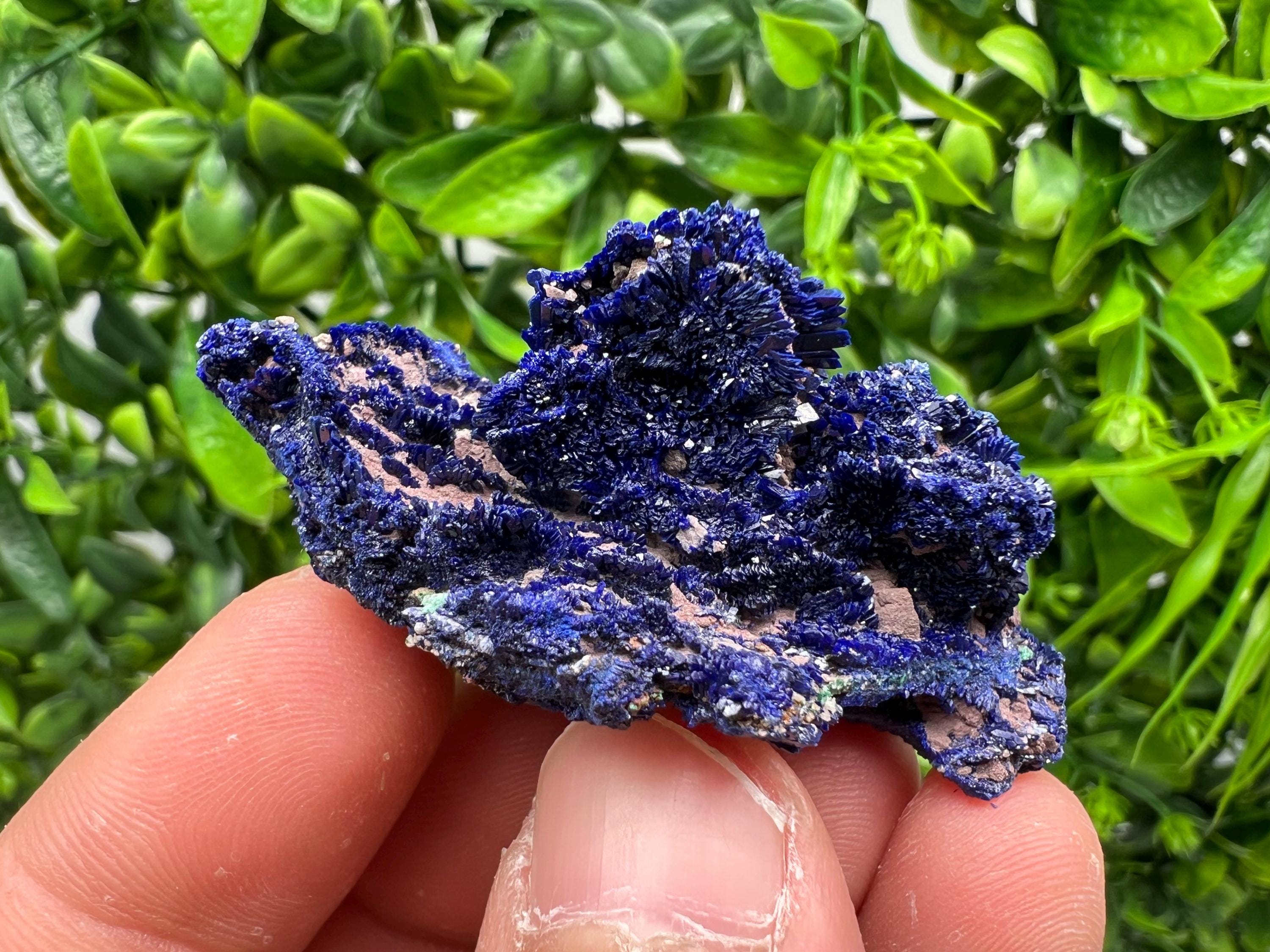 Crystallized Azurite-Kerrouchen,Morocco-Blue Azurite Specimen-High Quality Blue Azurite-Azurite Mineral Specimen, gemmy,lustrous of Azurite