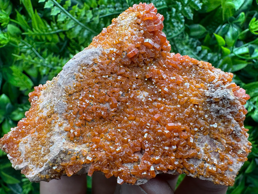 Red Vanadinite Crystal Cluster on Matrix, Morocco Mineral Specimen