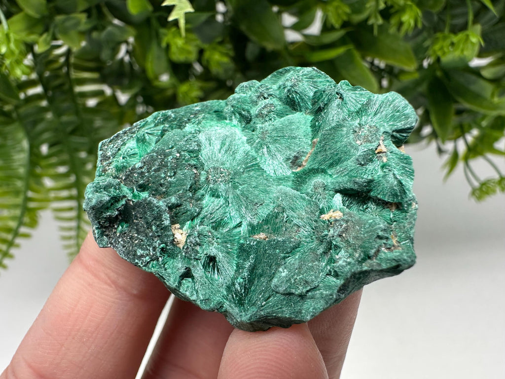 Polished Malachite Crystal from Congo, Green Specimen, Chakra Mineral Stone