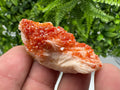 Red Vanadinite on Barite from Marocco,crystal minerals Speciment cluster Vanadinite crystal Vanadinite Geology Vanadinite cluster minerals