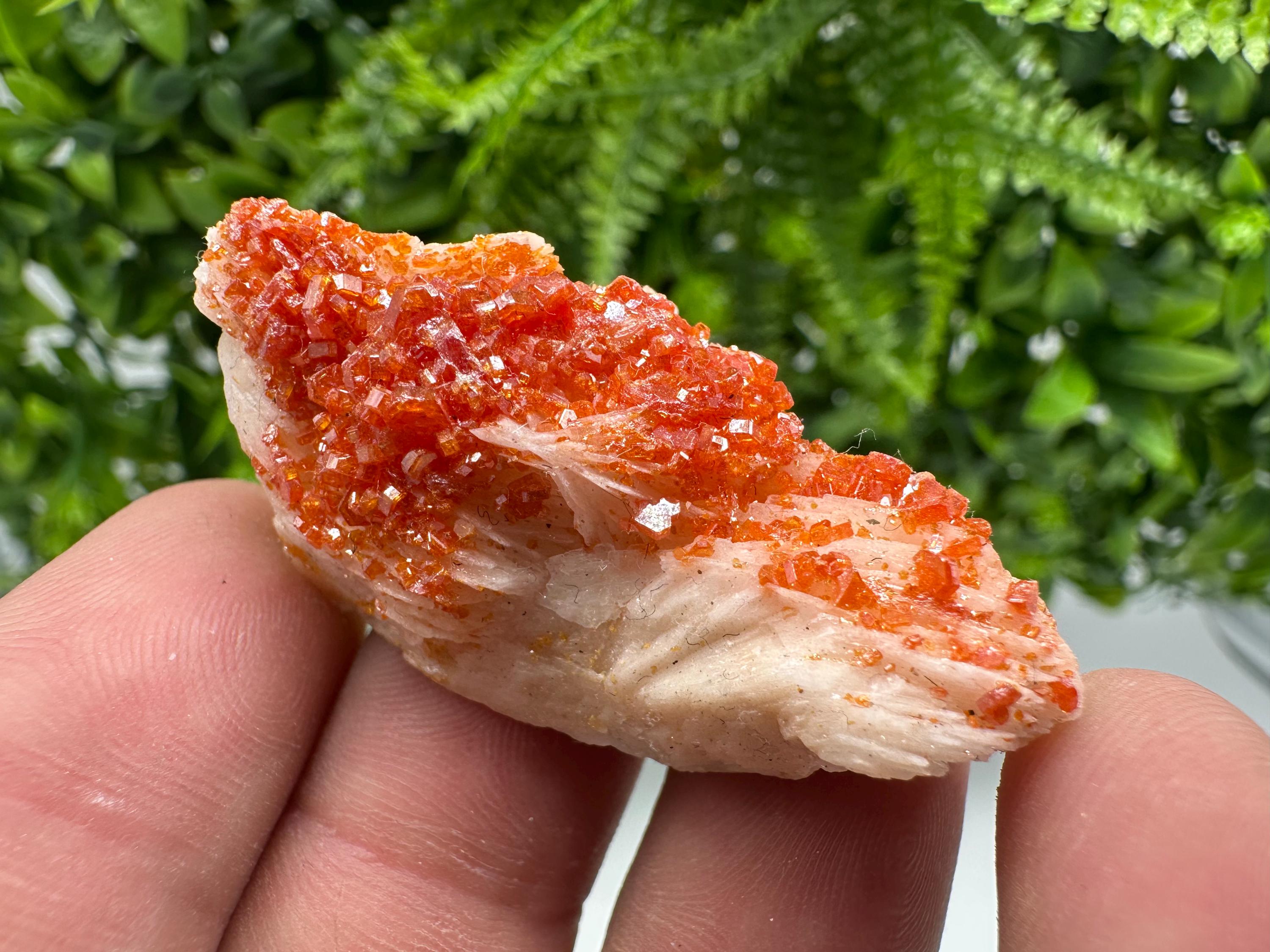 Red Vanadinite on Barite from Marocco,crystal minerals Speciment cluster Vanadinite crystal Vanadinite Geology Vanadinite cluster minerals