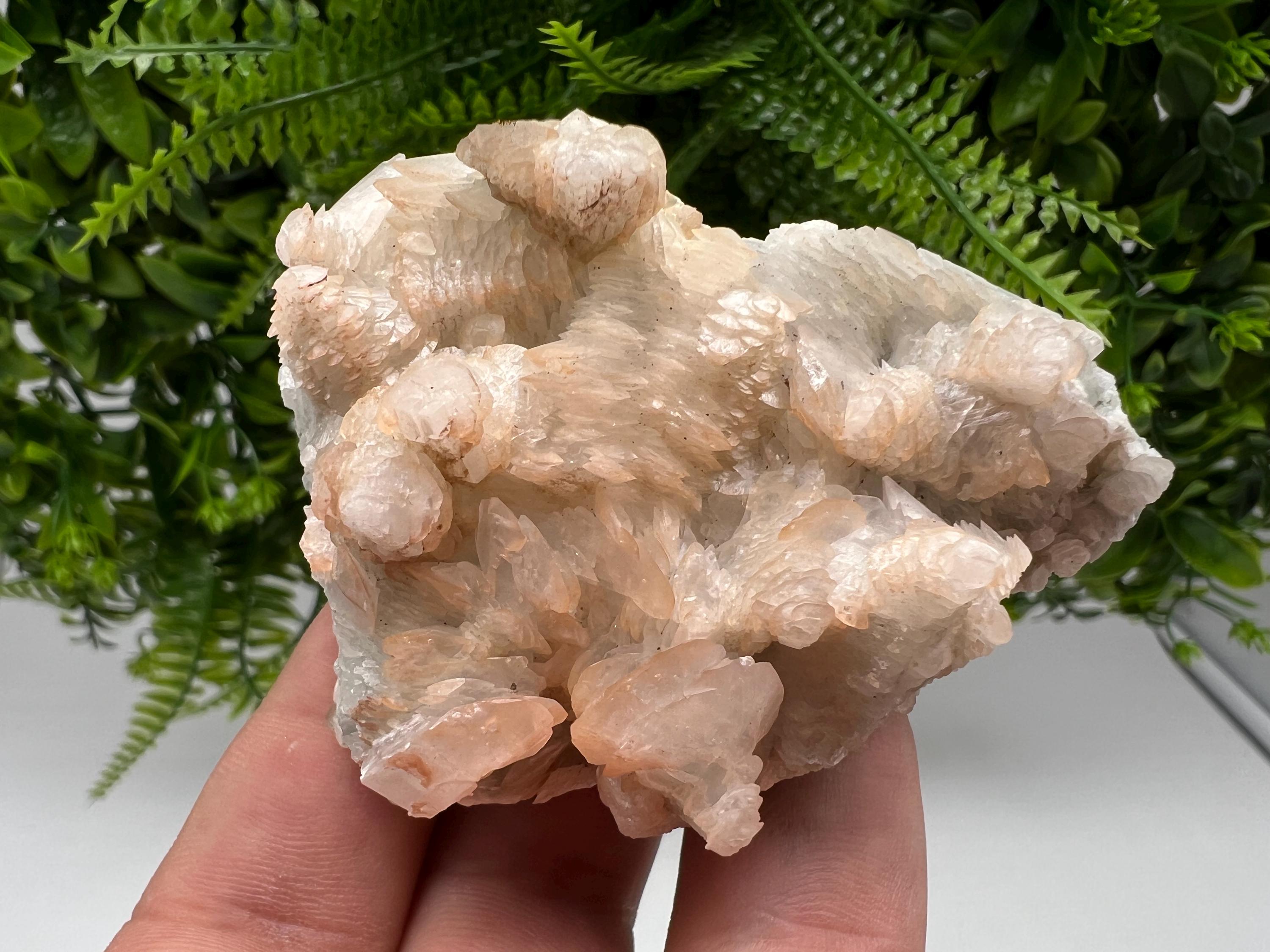 Rare Mangano Calcite Crystal: Borieva Mine, Bulgaria