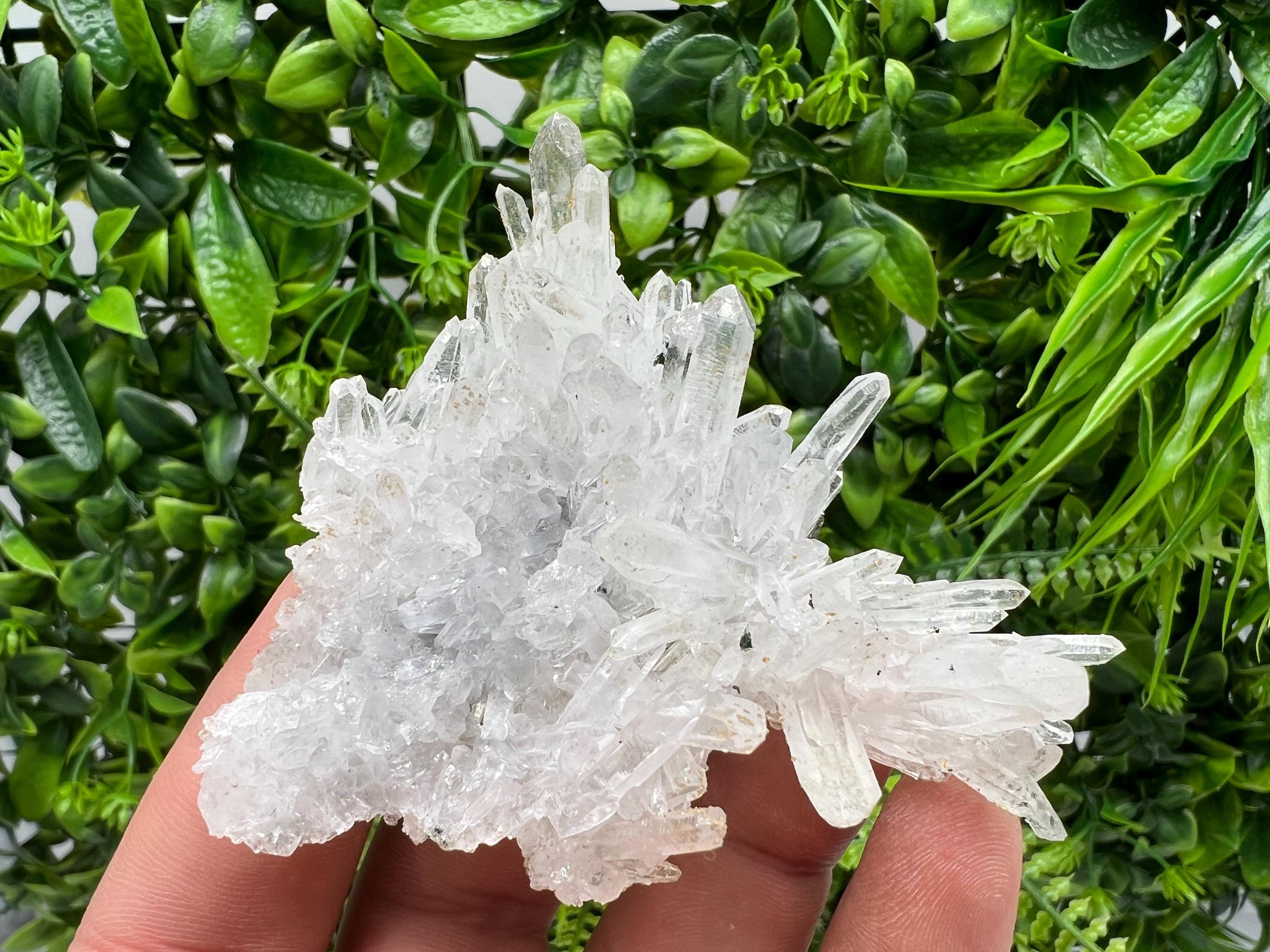 Transparent Quartz on Chlorite Matrix, Bulgaria Mineral Specimen