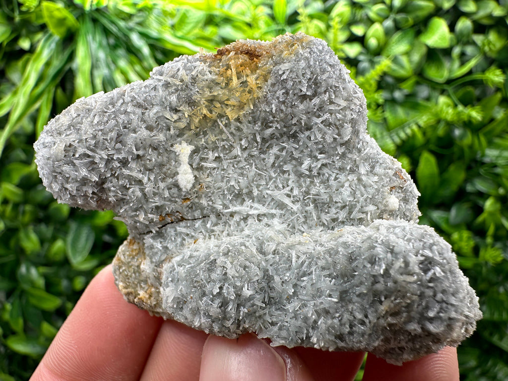 Chlorite Quartz Crystal with Iron Oxide Inclusion