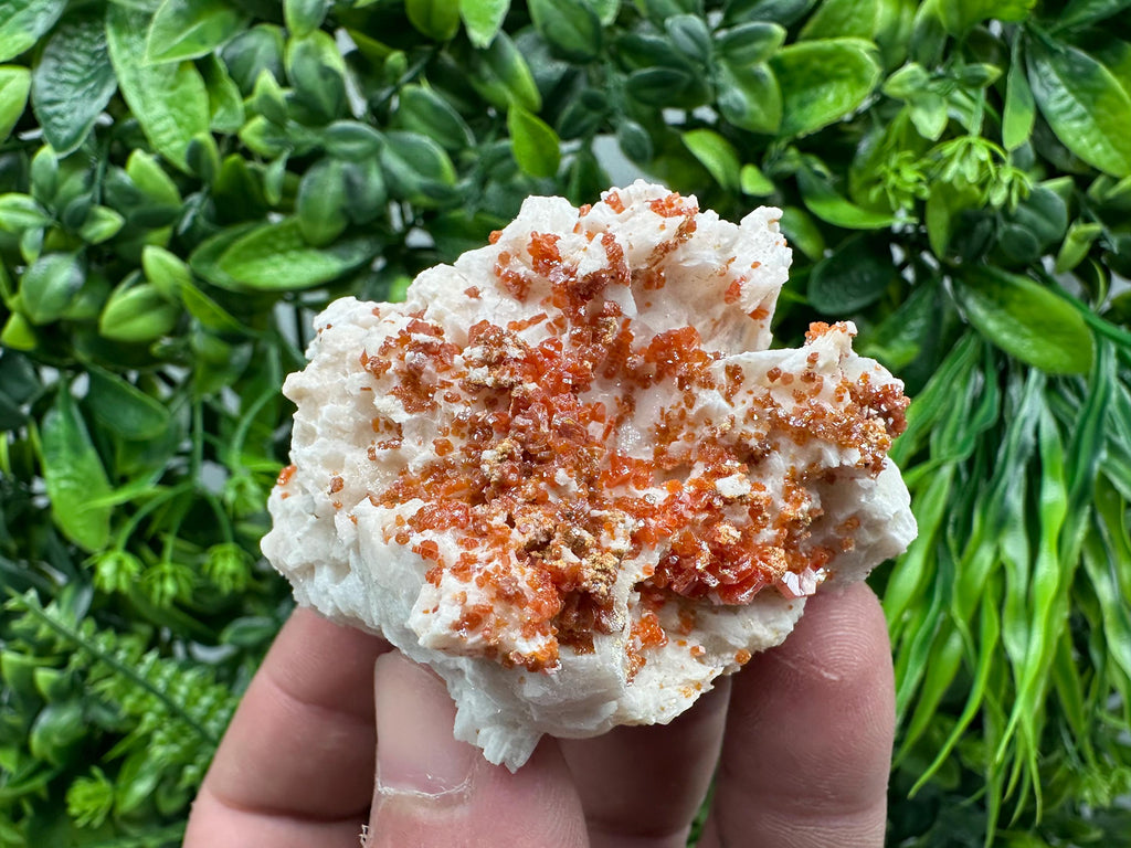 Red Vanadinite Crystal on Barite Matrix, Morocco Mineral Specimen