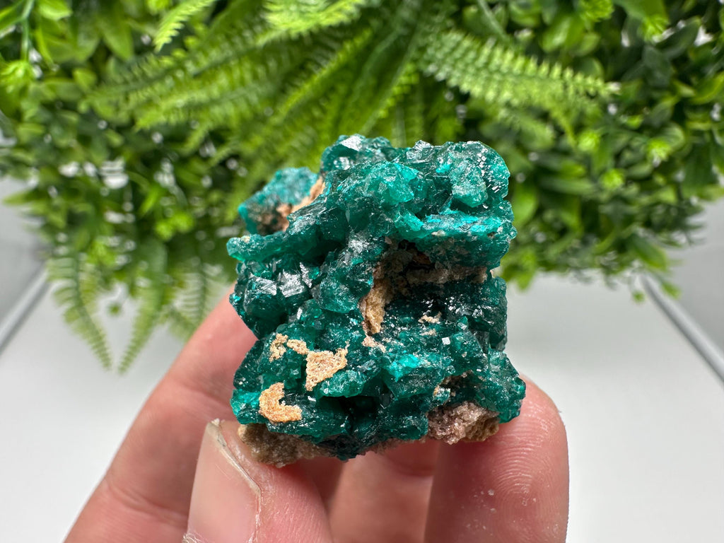 Stunning Green Dioptase from Sanda Hills,Mindouli,Pool Department,Mindouli District,Congo,green Dioptase,Dioptas Crystal,Dioptase collecting