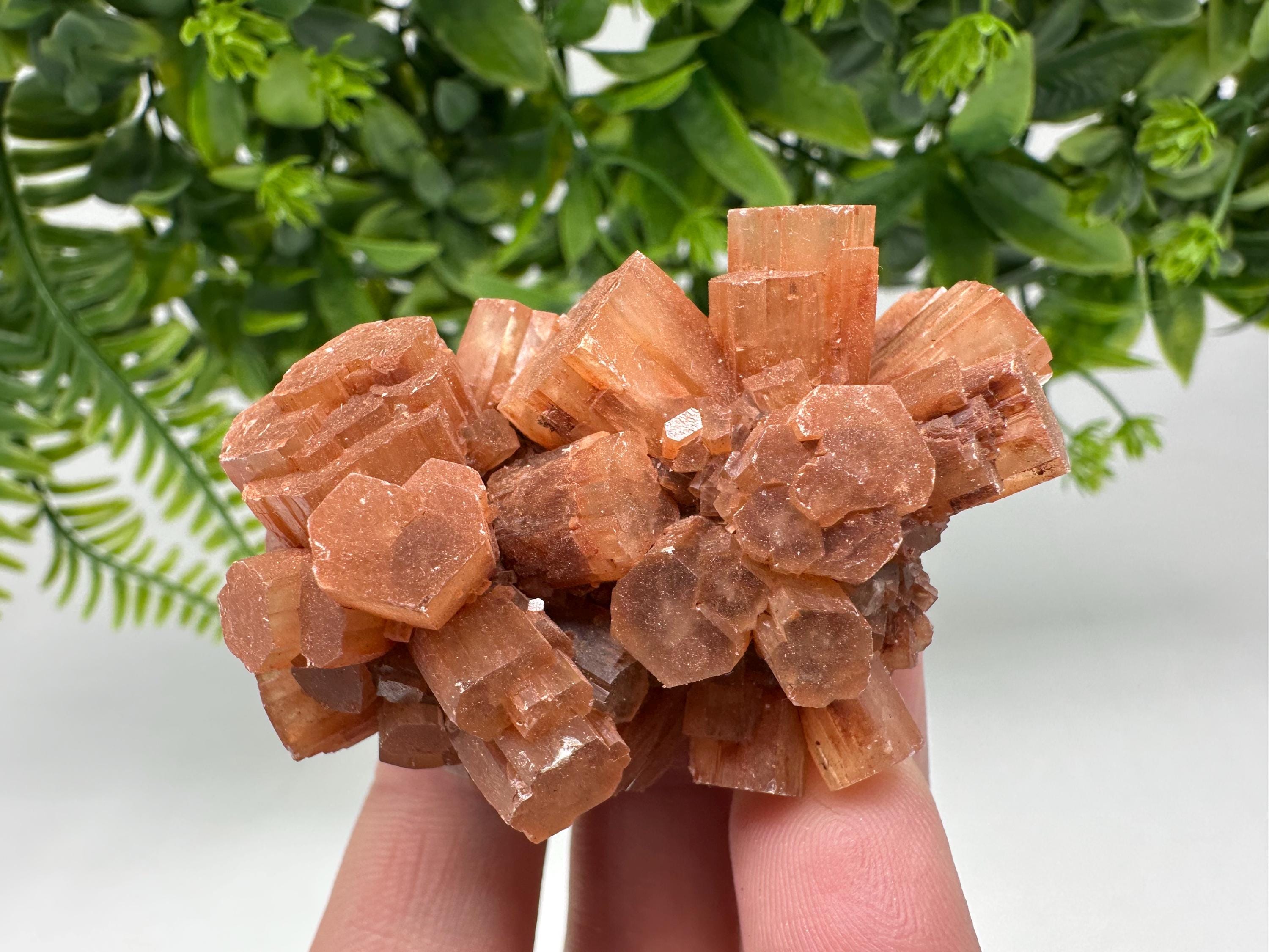 Aragonite Sputnik Cluster: Raw Moroccan Crystal Stone, Home Decor