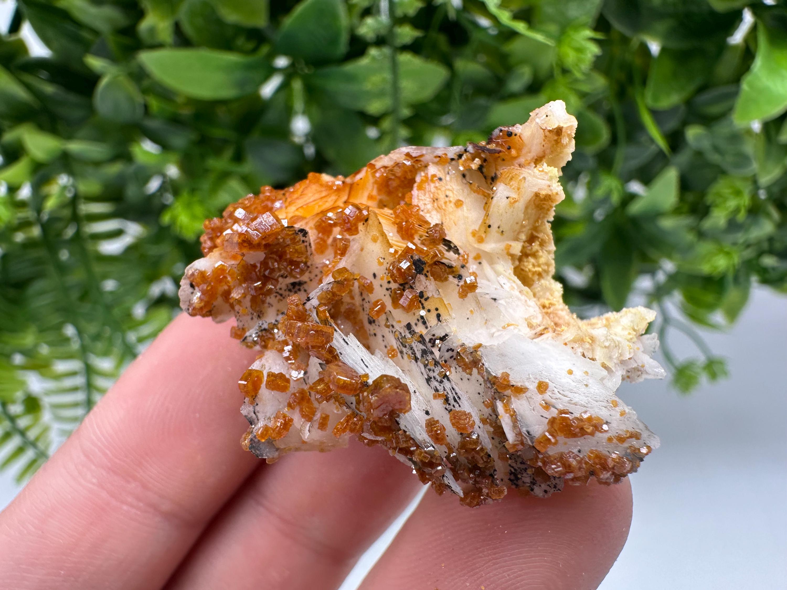 Red Vanadinite on Barite from Marocco,crystal minerals Speciment cluster Vanadinite crystal Vanadinite Geology Vanadinite cluster minerals
