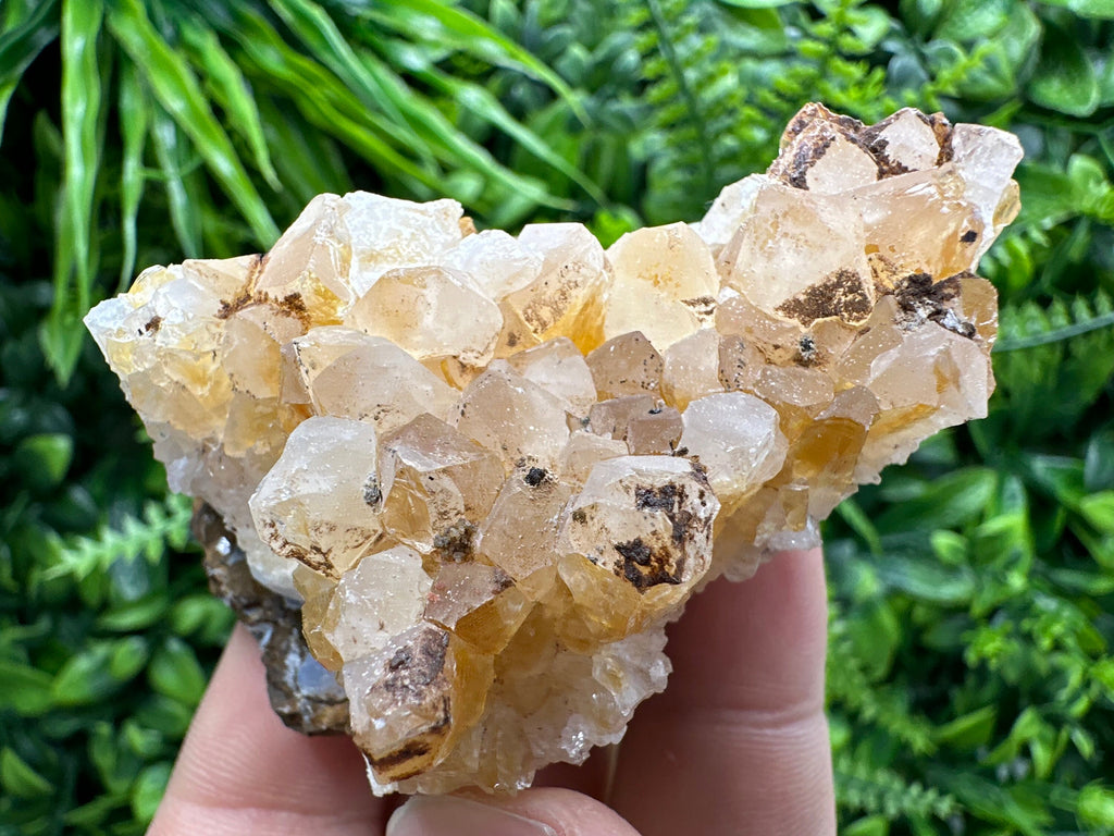 Citrine Crystal Cluster with Hematite Inclusions - Brazil