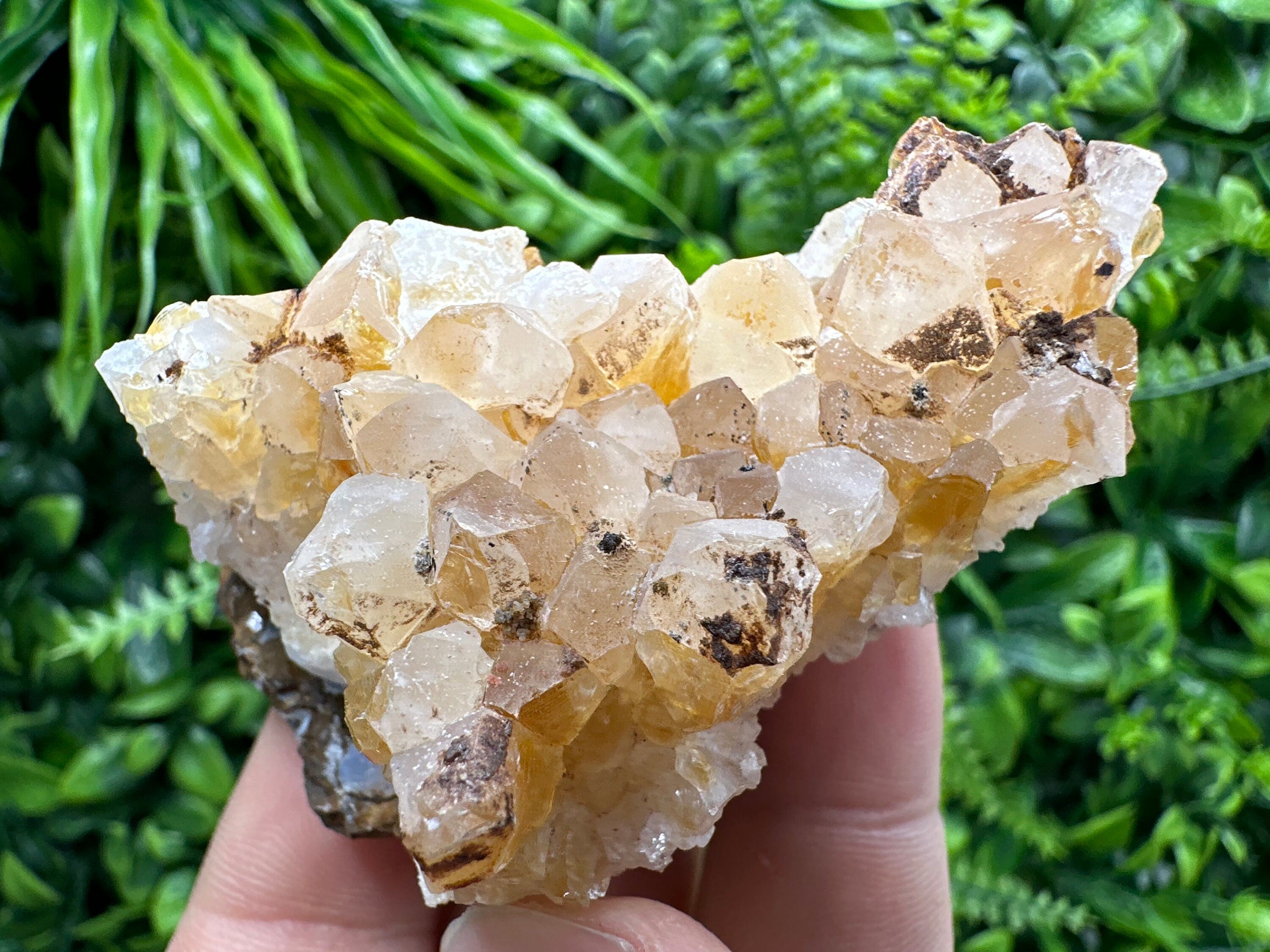 Citrine Crystal Cluster with Hematite Inclusions - Brazil