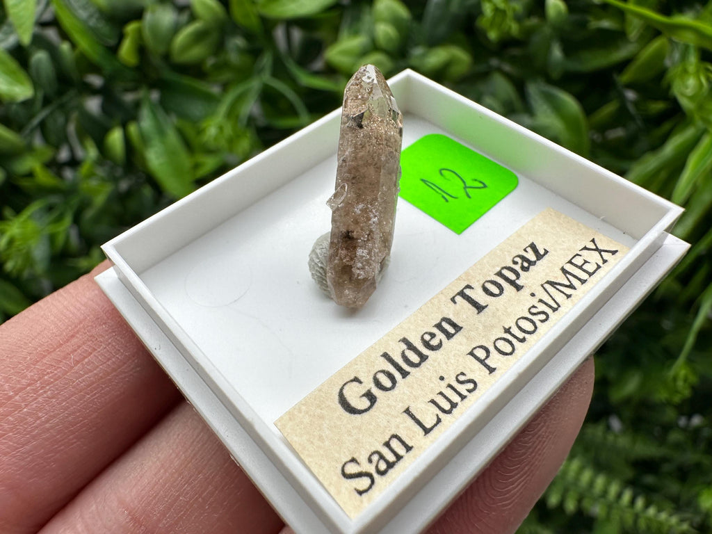 Golden Topaz Crystal, Mineral Specimen from Mexico