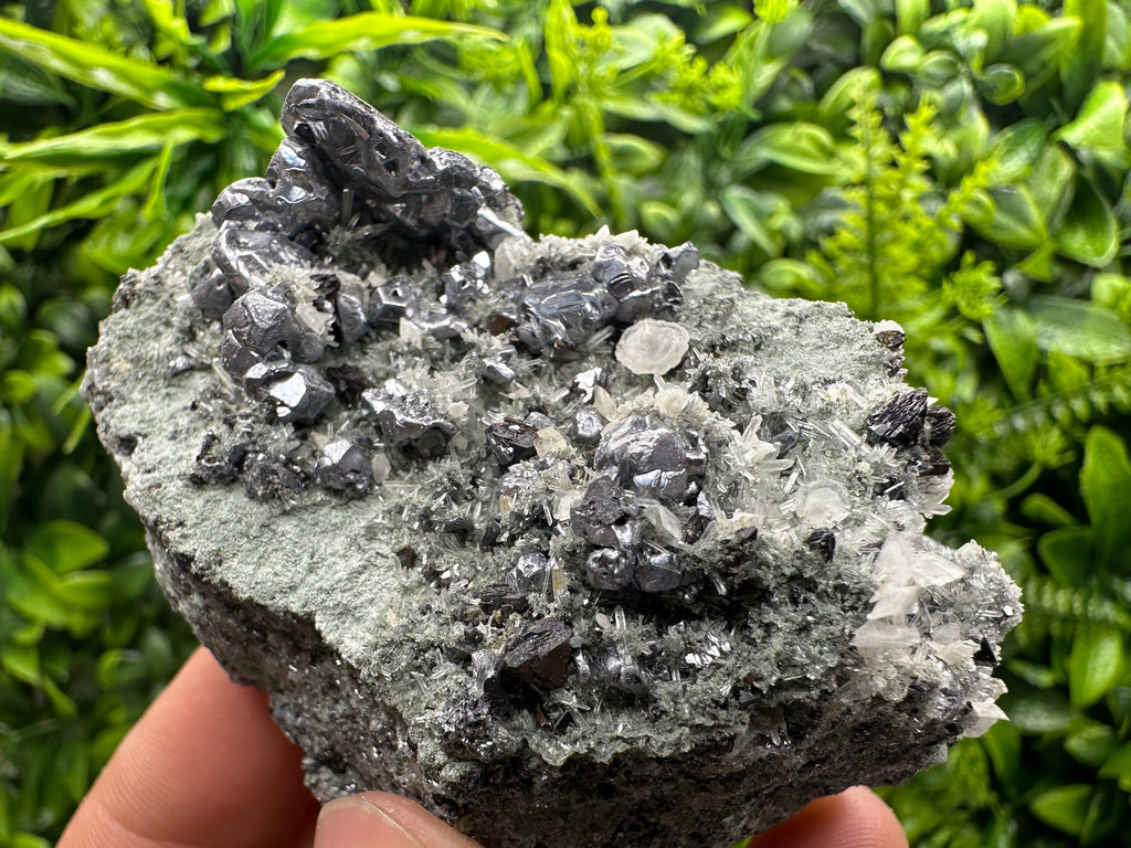 Galena Sphalerite Pyrite on Quartz, Madan Bulgaria Mineral Decor