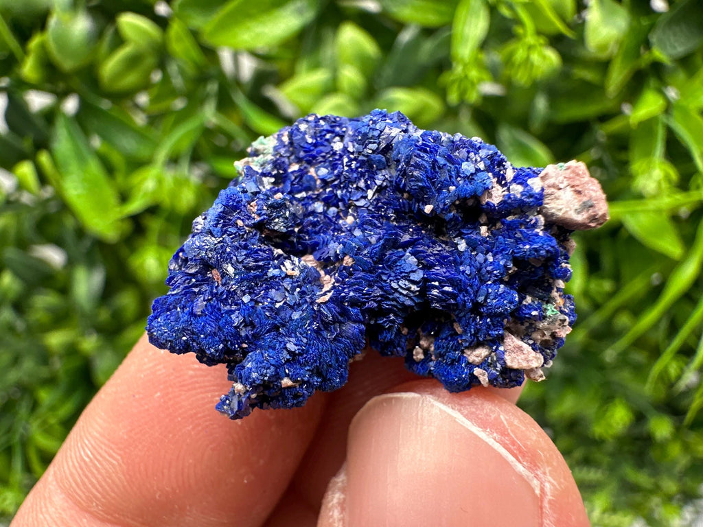 Crystallized Azurite-Kerrouchen,Morocco-Blue Azurite Specimen-High Quality Blue Azurite-Azurite Mineral Specimen, gemmy,lustrous of Azurite