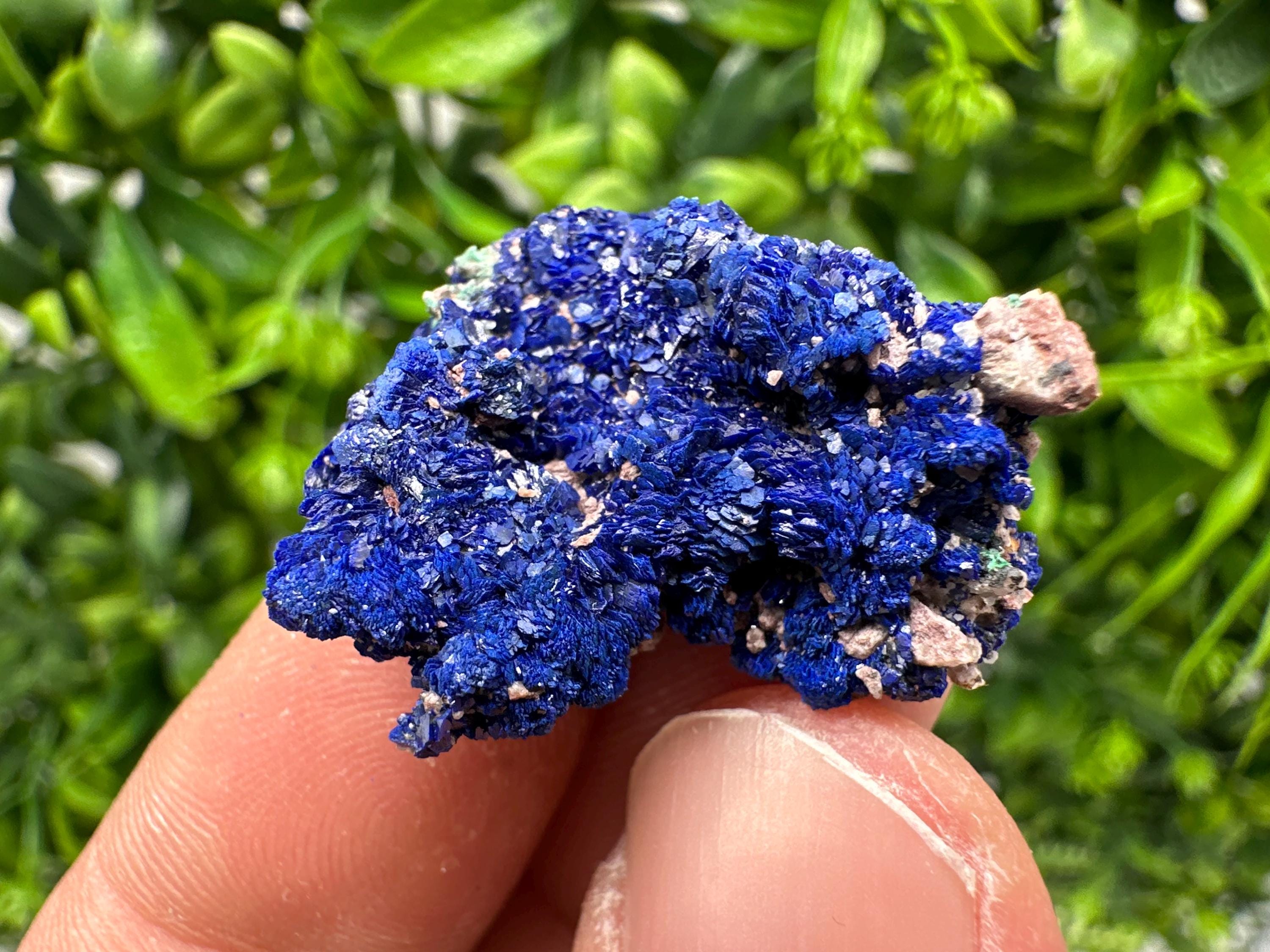 Crystallized Azurite-Kerrouchen,Morocco-Blue Azurite Specimen-High Quality Blue Azurite-Azurite Mineral Specimen, gemmy,lustrous of Azurite