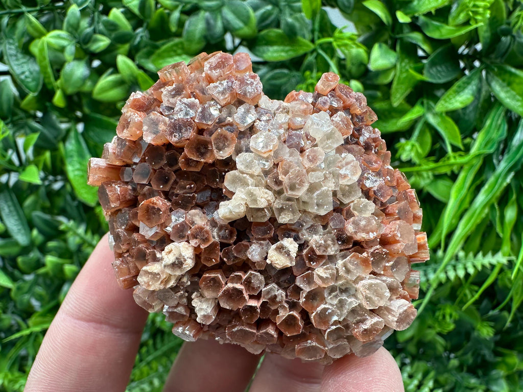 Moroccan Aragonite Sputnik Cluster: Raw Crystal Stone Decor