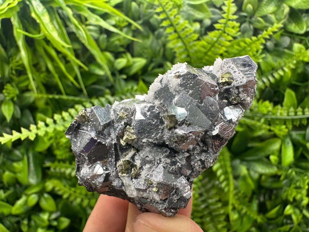 Galena with Chalcopyrite and Quartz, Krushev dol Mineral Specimen