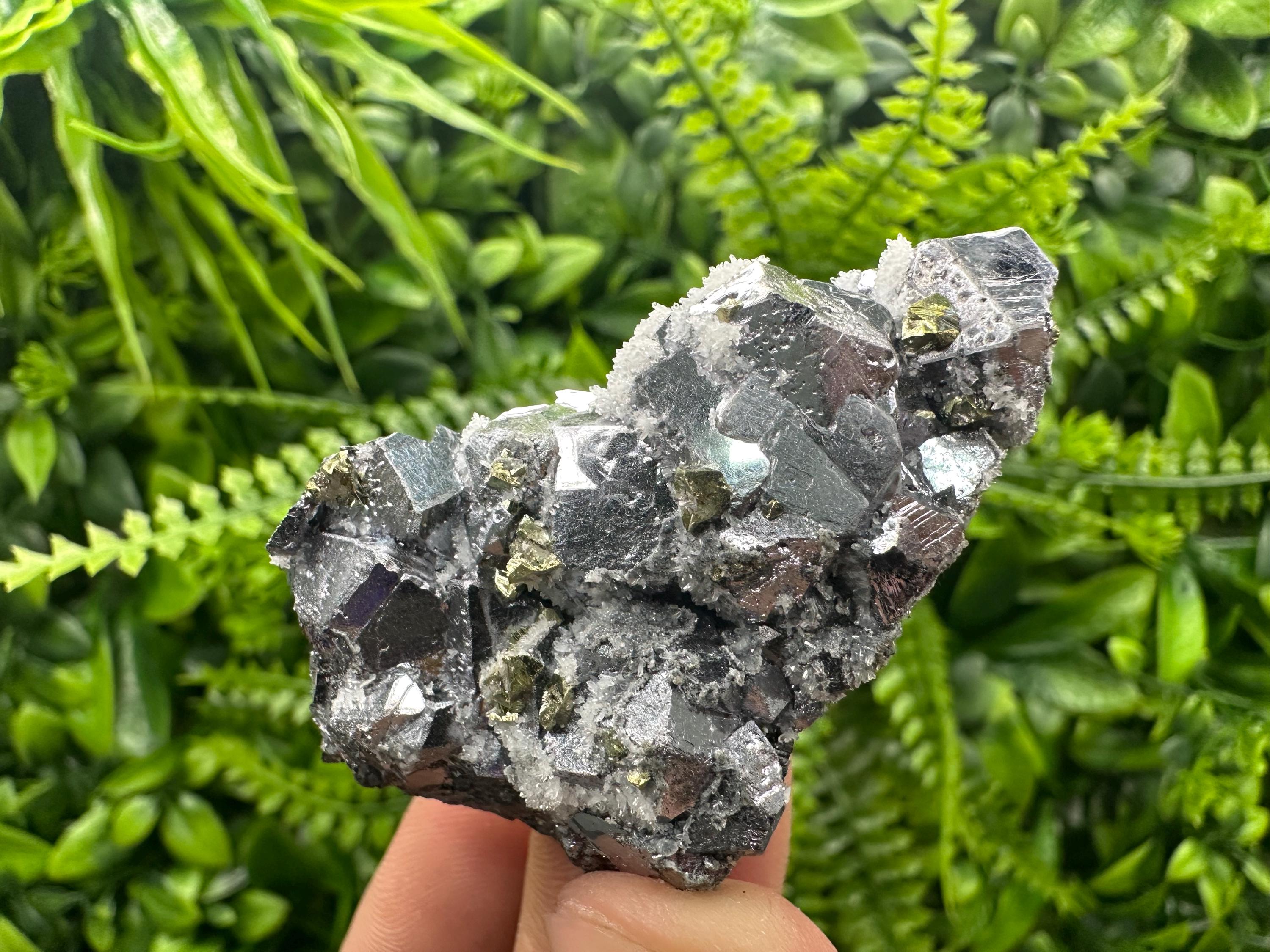 Galena with Chalcopyrite and Quartz, Krushev dol Mineral Specimen