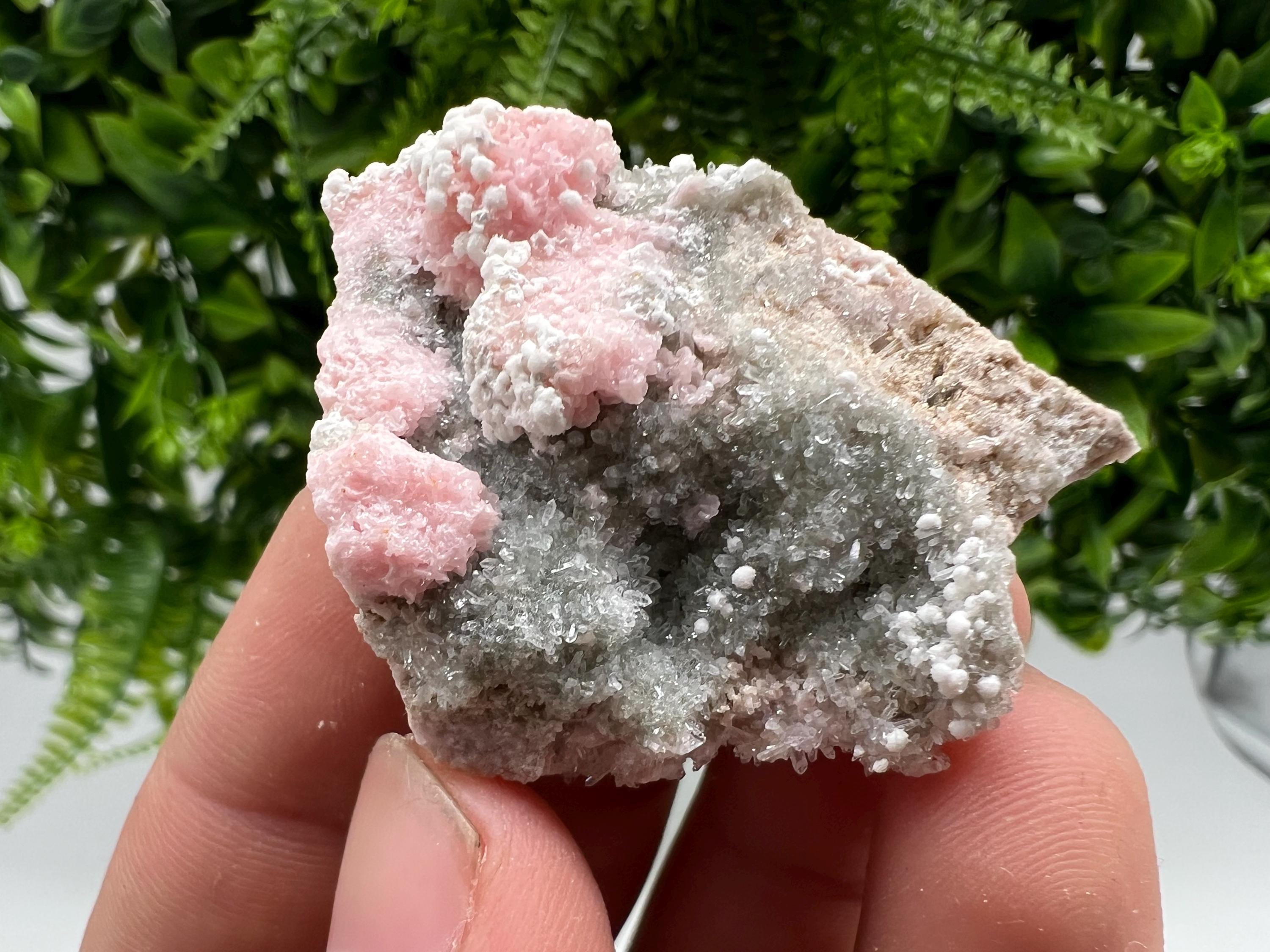 RARE Rhodochrosite with Calcite: Starnica Mine, Bulgaria